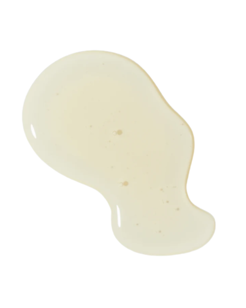 Purifying Cleansing Gel 100ml — Susanne Kaufmann