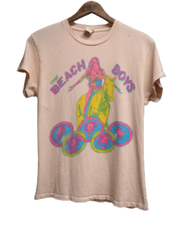 Beach Boys Endless Icons