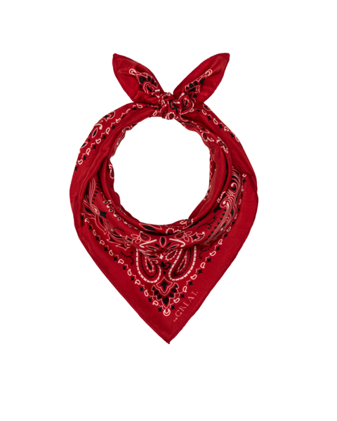 Silk Bandana