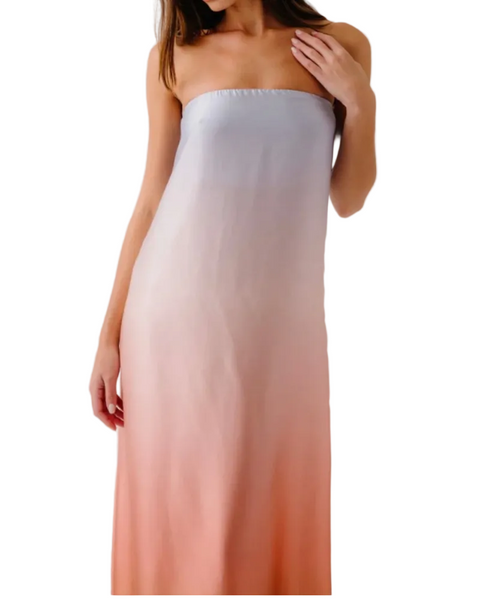 Arden Strapless Dress